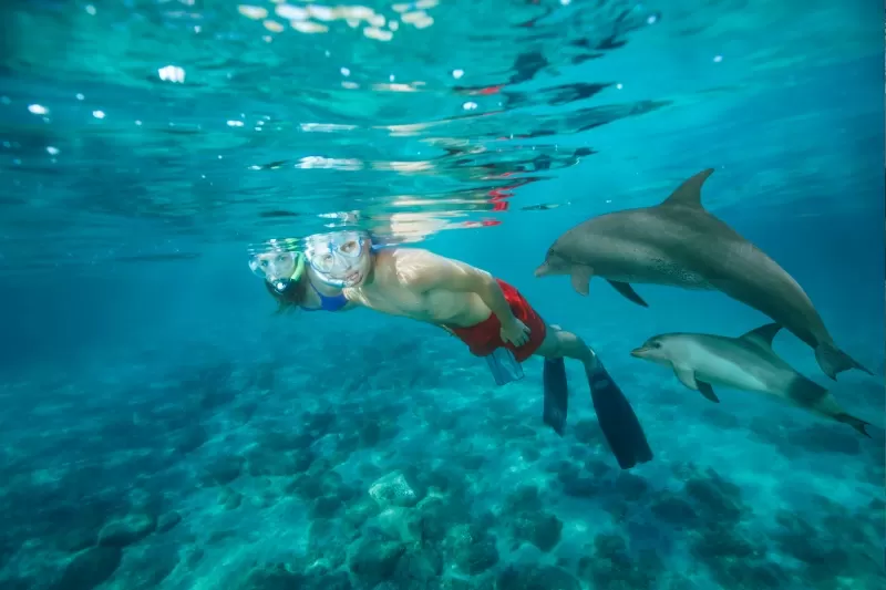 Egitto 5 Stelle Tour: Cairo, Crociera Nilo e Sharm El Sheikh